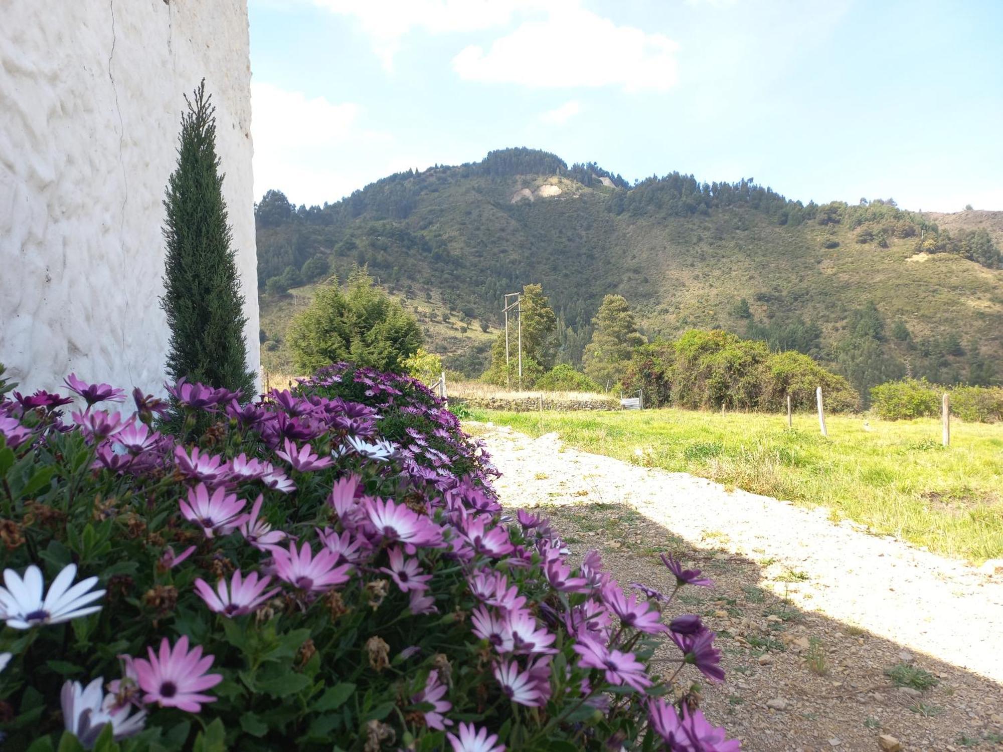 Hospedaje Y Camping Del Rio Monguí Exterior foto